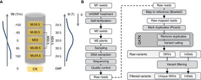 Ultra-high static magnetic field induces a change in the spectrum but not frequency of DNA spontaneous mutations in Arabidopsis thaliana